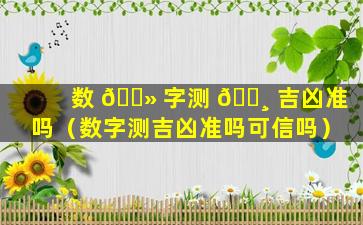 数 🌻 字测 🌸 吉凶准吗（数字测吉凶准吗可信吗）